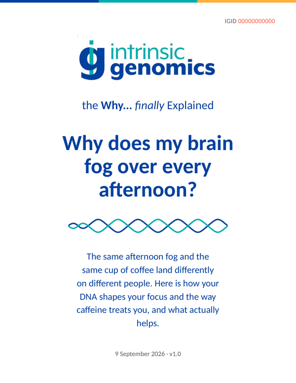 Why does my brain fog over every afternoon?