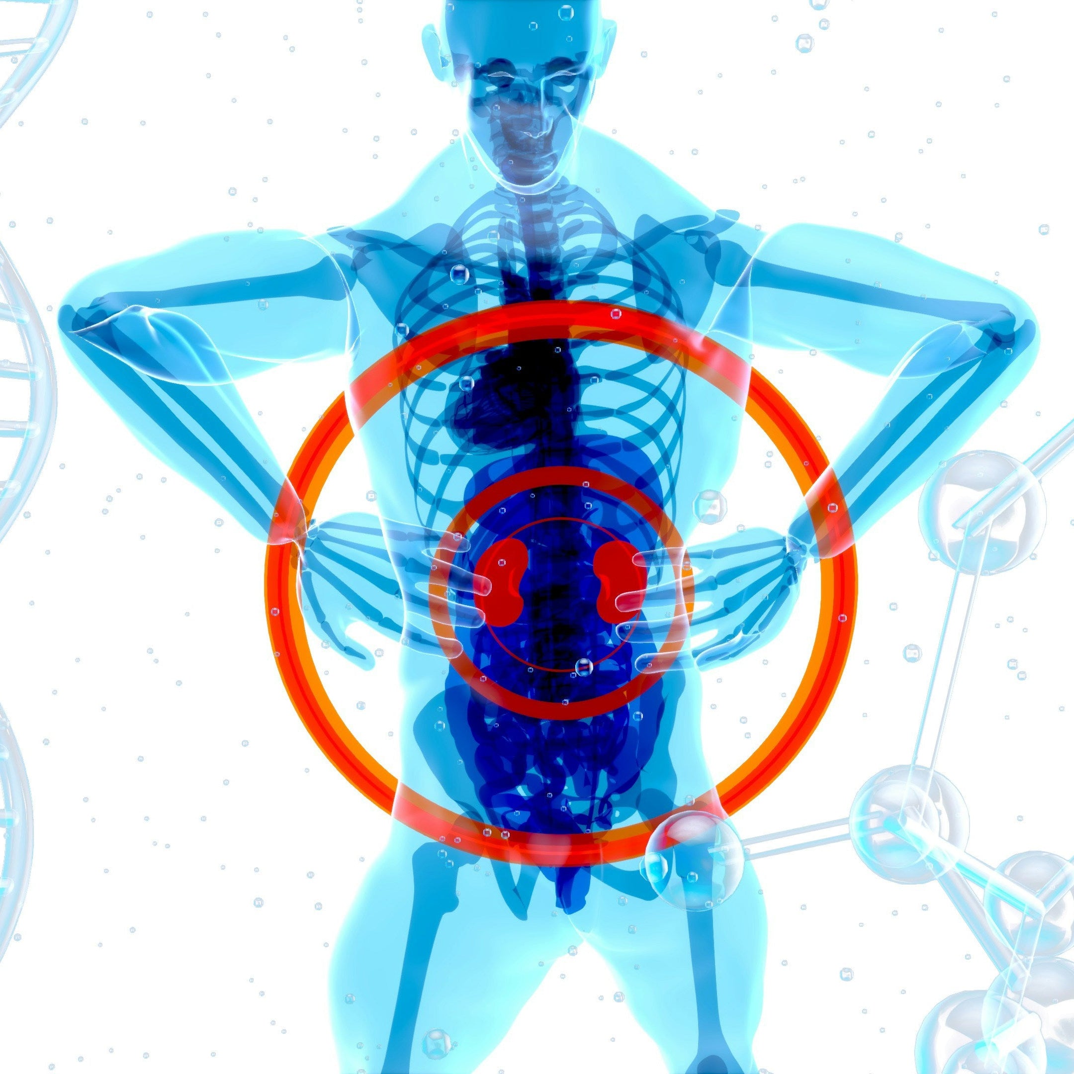 Transparent human body with highlighted heart, DNA strands, and molecular structures on a white background